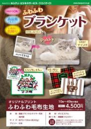 ブランケットA4チラシ