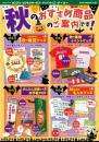 2017秋のおすすめB4チラシ